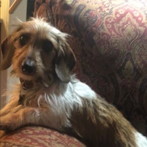 Offers accepted- except on this puppy ;)